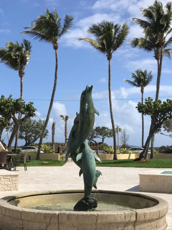 The Dover House Resort image 14