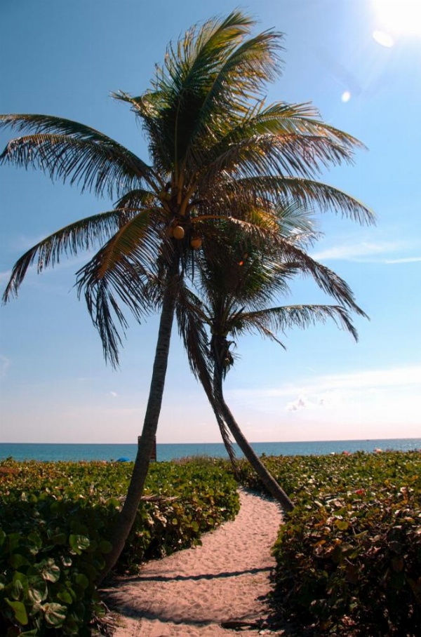 The Dover House Resort image 16